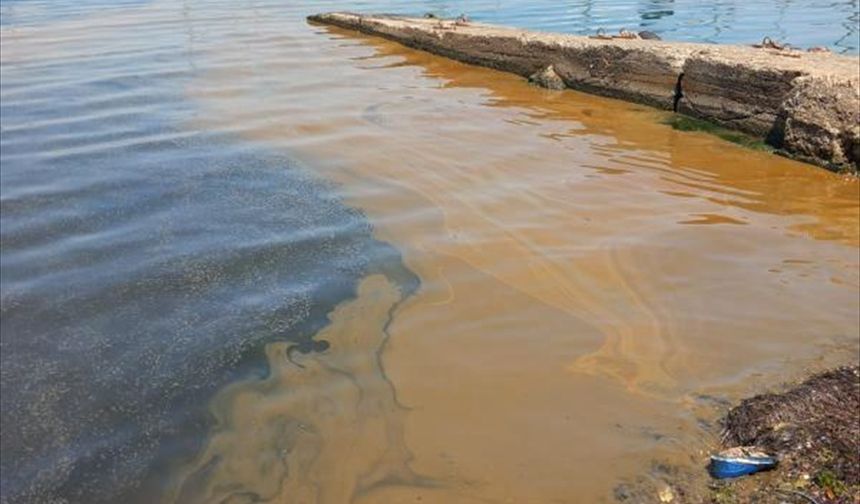 Yalova'da denize atık yağ boşalttığı öne sürülen işletmeyle ilgili inceleme başlatıldı