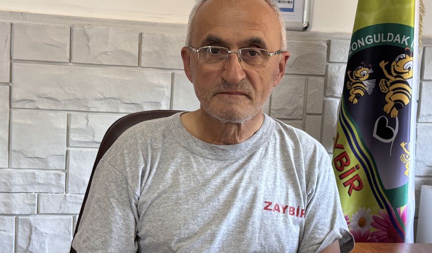 Zonguldak'ta kestane balından 600 ton rekolte bekleniyor