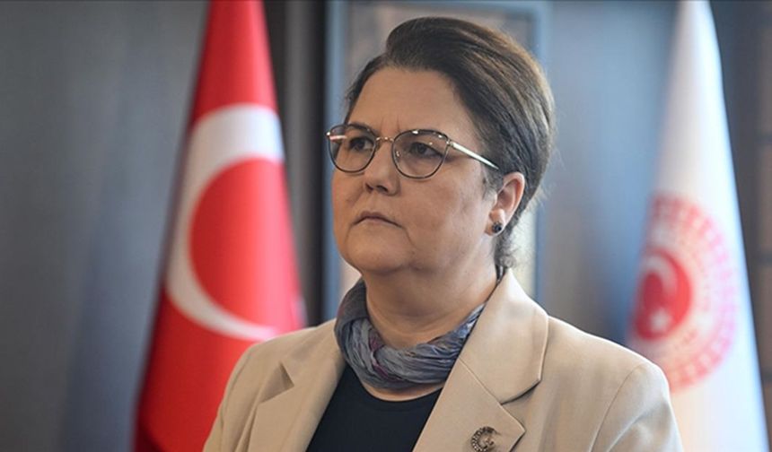 TBMM İnsan Haklarını İnceleme Komisyonu Başkanı Yanık: BMGK, İsrail'e fiili müdahale kararı almalı