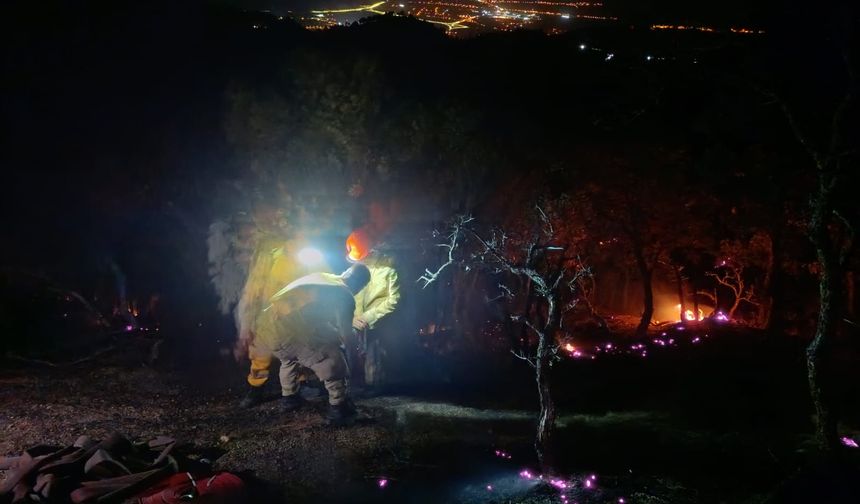 Denizli'deki orman yangını büyük ölçüde kontrol altına alındı