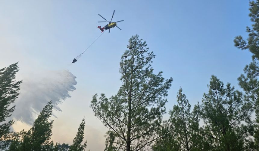 Denizli'nin Acıpayam ilçesinde çıkan orman yangını kontrol altına alındı