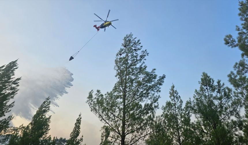 Denizli'nin Acıpayam ilçesinde orman yangını çıktı
