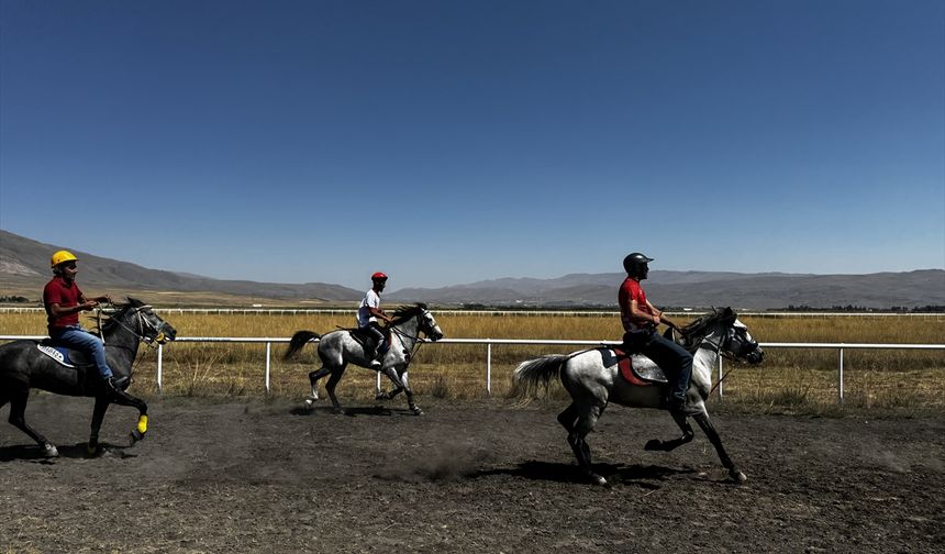 Erzurum'da '3. Geleneksel Rahvan At Yarışları' düzenlendi