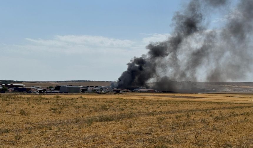 Eskişehir'de geri dönüşüm tesisinde çıkan yangına müdahale ediliyor