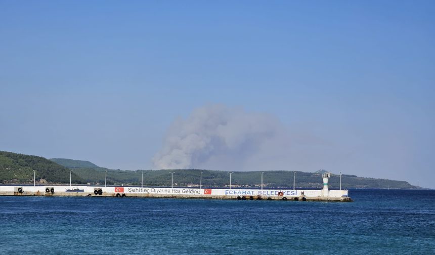 GÜNCELLEME 2 - Çanakkale Gelibolu'da çıkan yangına müdahale ediliyor