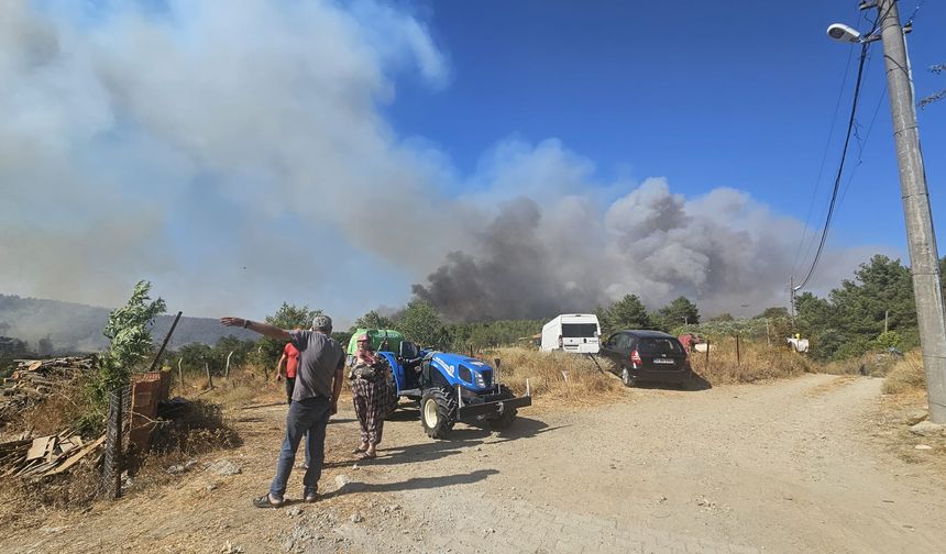 GÜNCELLEME 4 - Çanakkale Gelibolu'da ormanlık alandaki yangına müdahale ediliyor
