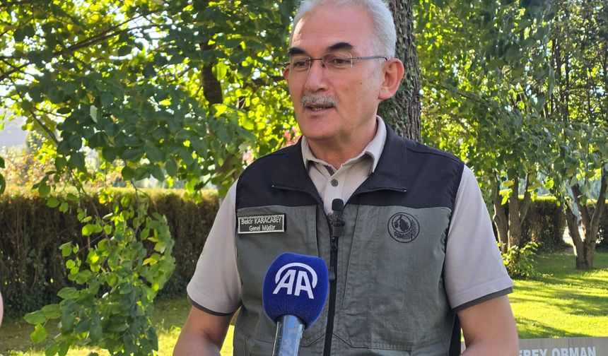 İhmal ve dikkatsizlikle çıkan orman yangınlarına karşı farkındalık bilinci önemli