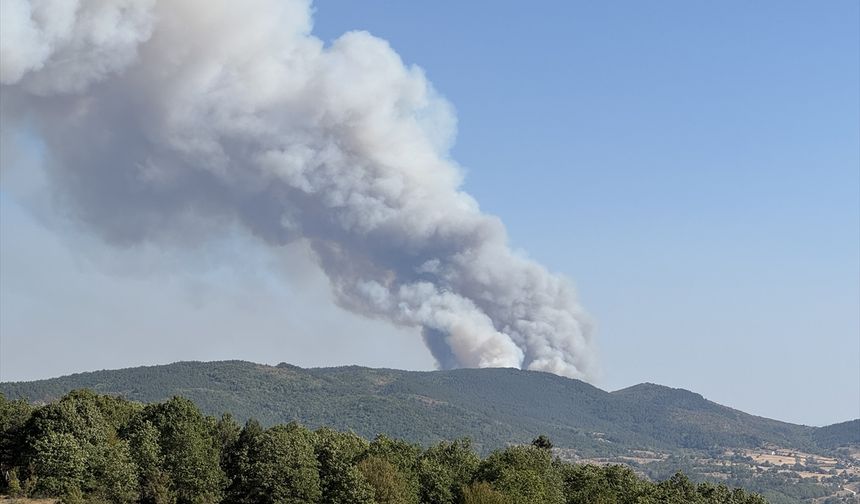 Karabük'te ormanlık alanda çıkan yangına müdahale ediliyor