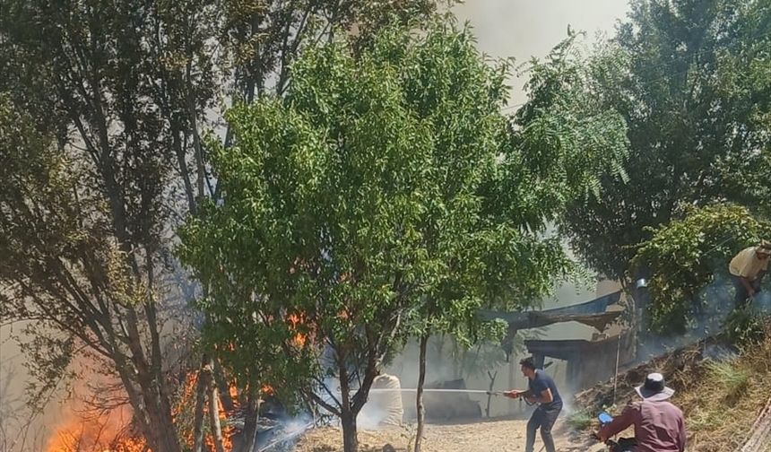 Malatya'da çıkan orman yangınına müdahale ediliyor