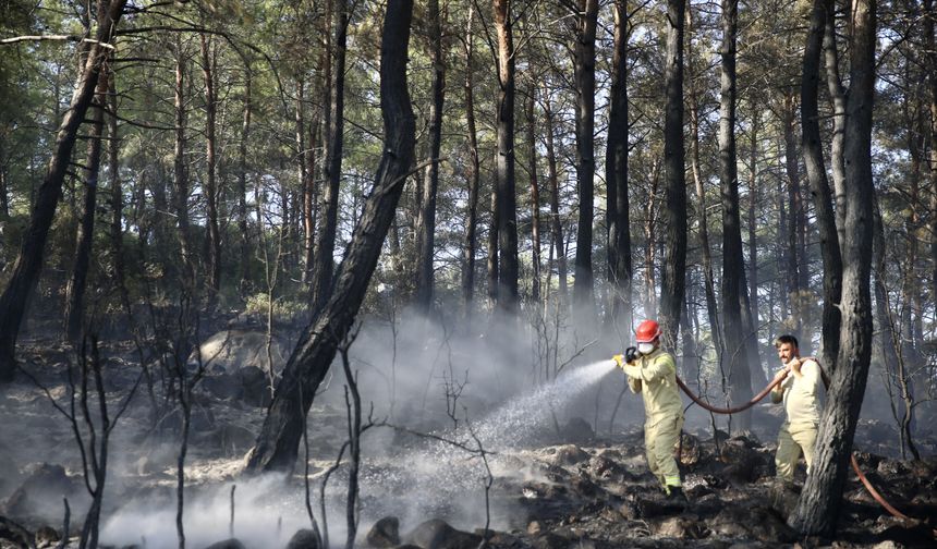 Muğla'da çıkan orman yangını kontrol altına alındı