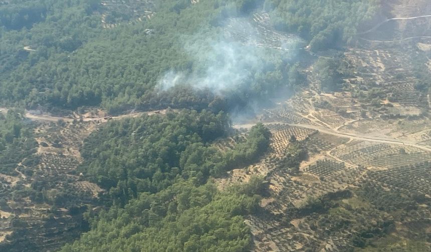 Muğla'da çıkan orman yangınına müdahale ediliyor