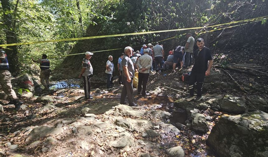 Ordu'da fındık toplarken yamaçtan düşen kişi öldü