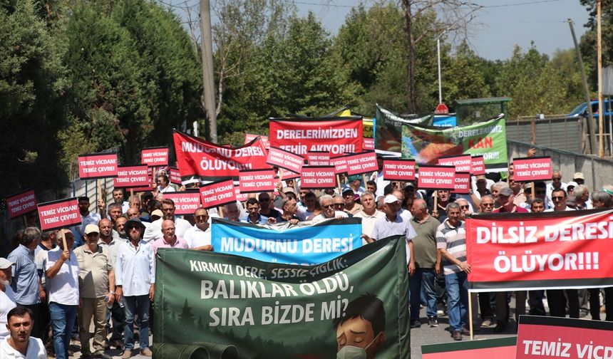 Sakarya'da Mudurnu Çayı'nı kirleten firmanın faaliyetleri durduruldu