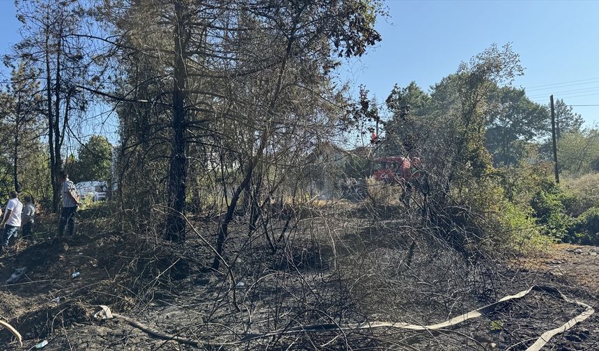Sakarya'da yerleşim alanı yakınında çıkan orman yangını söndürüldü