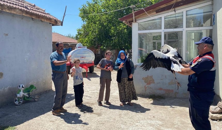 Yozgatlı ailenin sahip çıktığı leylek "Su", jandarma ekiplerine teslim edildi
