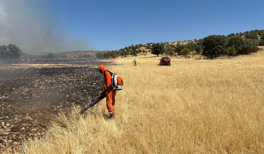 GÜNCELLEME - Mardin'de ormanlık alanda çıkan yangın kontrol altına alındı