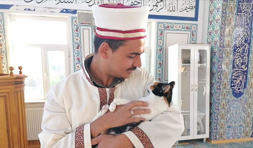 Sahip çıktığı kedileri leğende yıkayan imam hayvan sevgisiyle örnek oluyor