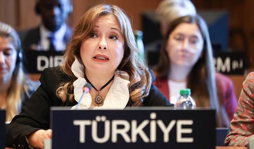 Büyükelçi Aybet, İsrail'in BM kararıyla kurulan UNRWA'yı yasaklamaya hakkı olmadığını belirtti