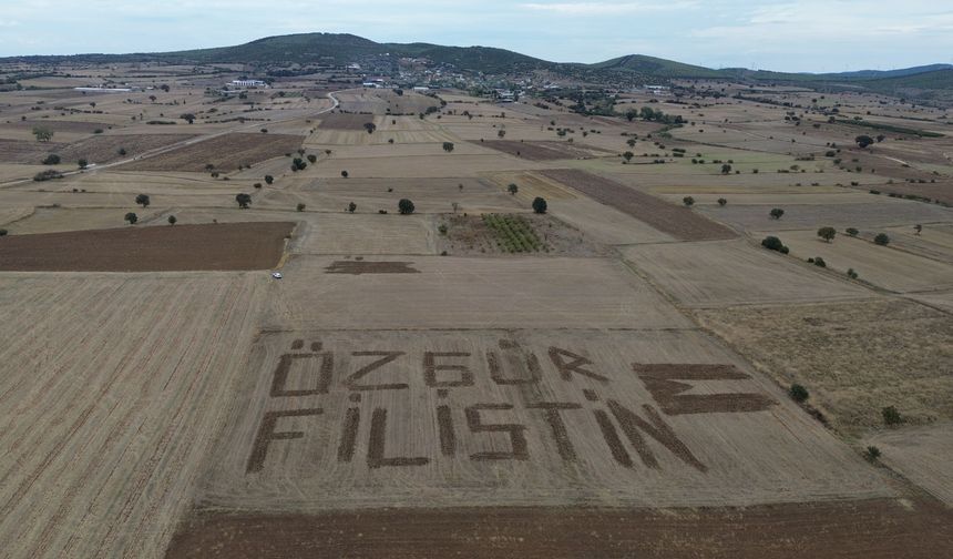 Çanakkaleli çiftçi Filistin'e destek için tarlasına traktörle 'Özgür Filistin' yazdı
