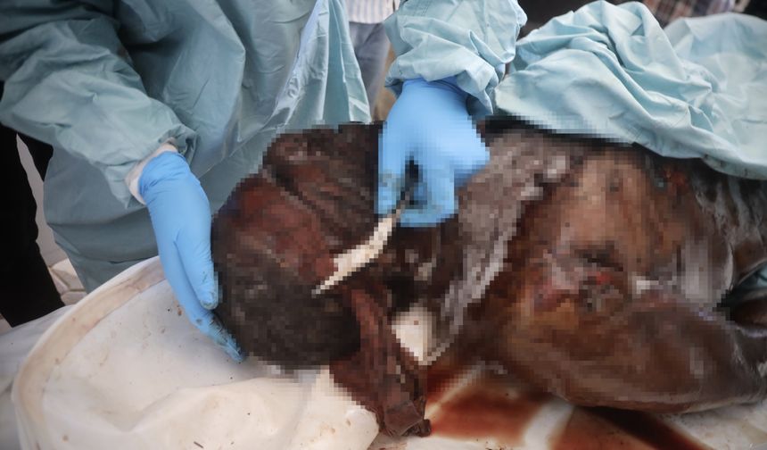 Gazze'deki Sağlık Bakanlığı: İsrail'in teslim ettiği cenazelerin baş ve göğüs bölgesinde kurşun izleri vardı