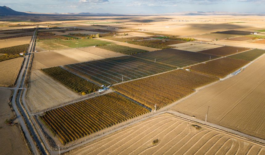Karaman'da sezonun son elmaları özenle hasat ediliyor