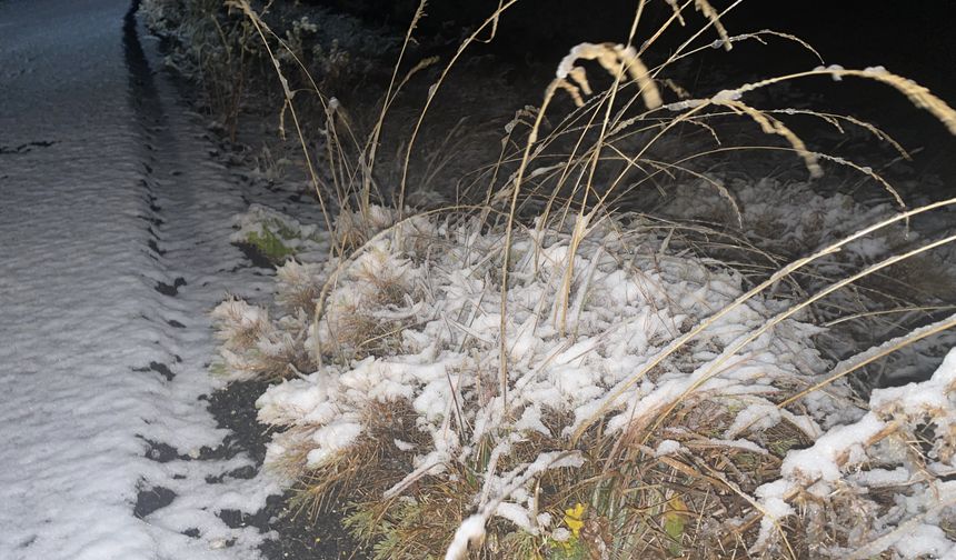 Kars'ın yüksek kesimlerinde kar etkili oluyor