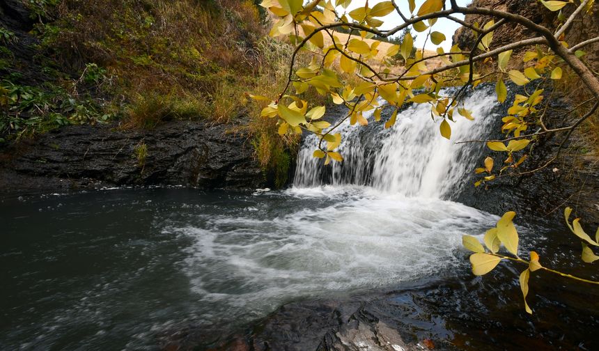 Kars'taki Keklik Vadisi'nde sonbahar güzelliği yaşanıyor