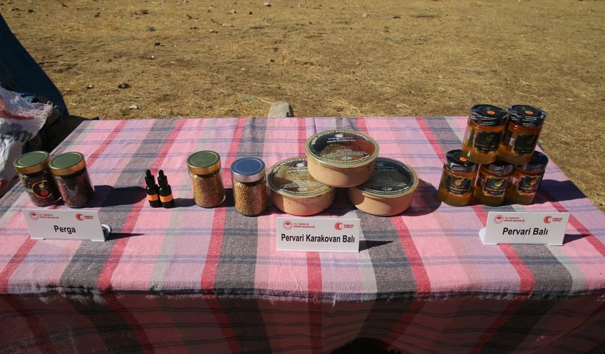 Siirt'in Çemikari Yaylası'nda kara kovan balının hasadı yapıldı