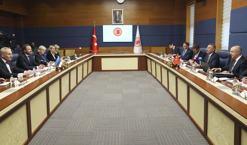 TBMM Dışişleri Komisyonu Başkanı Oktay, Estonya Dışişleri Bakanı Tsahkna ile görüştü