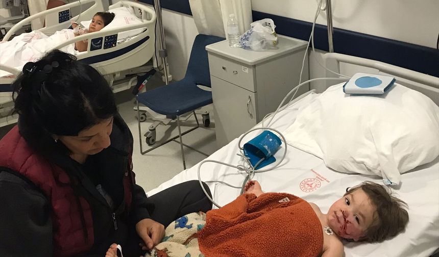 Başkentte pitbull cinsi köpeğin saldırısına uğrayan 2 çocuk yaralandı