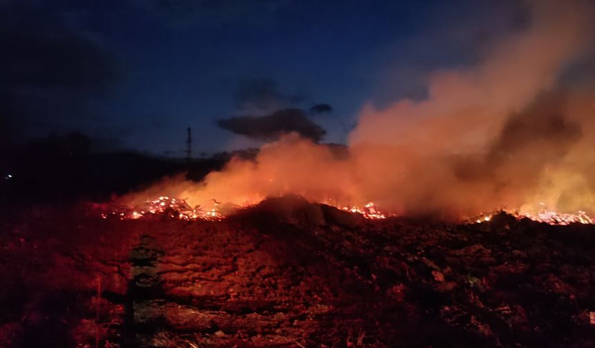 Bilecik'te arazide çıkan yangın söndürüldü