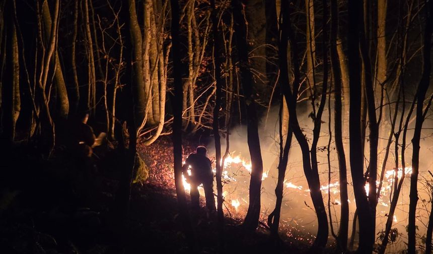 Ordu'da çıkan örtü yangınına müdahale ediliyor