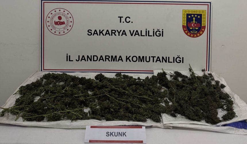Sakarya'da evinde 2 kilogram sentetik uyuşturucuyla yakalanan şüpheli tutuklandı