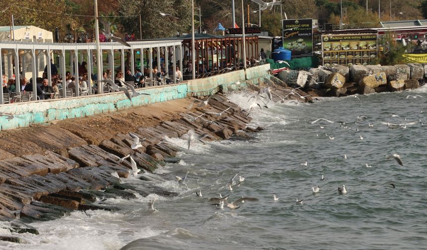 Tekirdağ'da balıkçılar lodos nedeniyle denize açılamadı