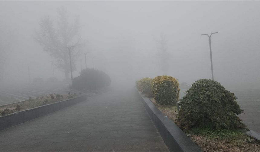 Amasya'da sis etkili oluyor