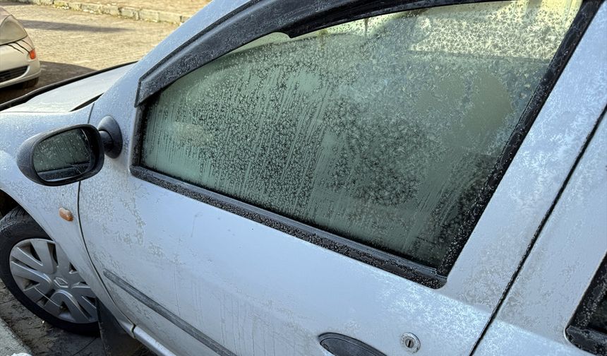 Ardahan'da soğuk hava etkili oluyor