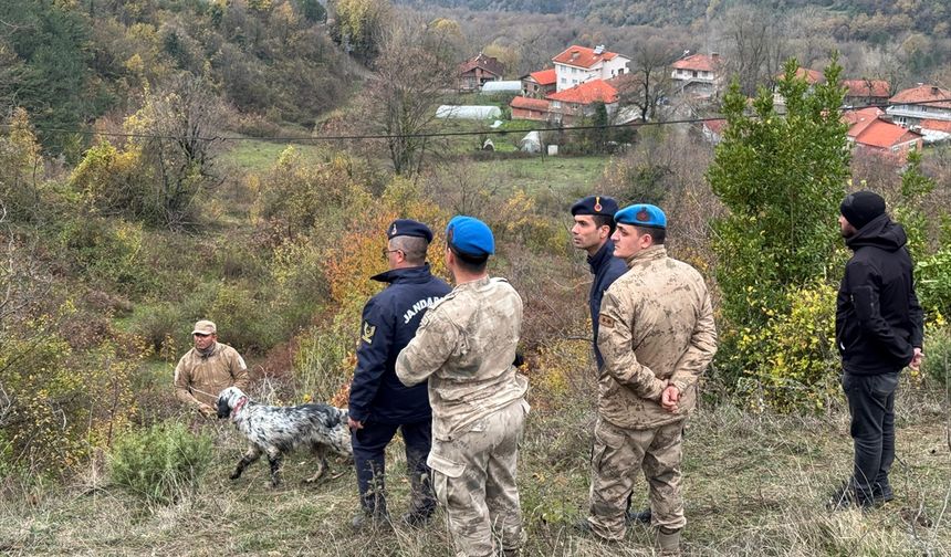 Bartın'da ormanda kaybolan yaşlı kadın ölü bulundu