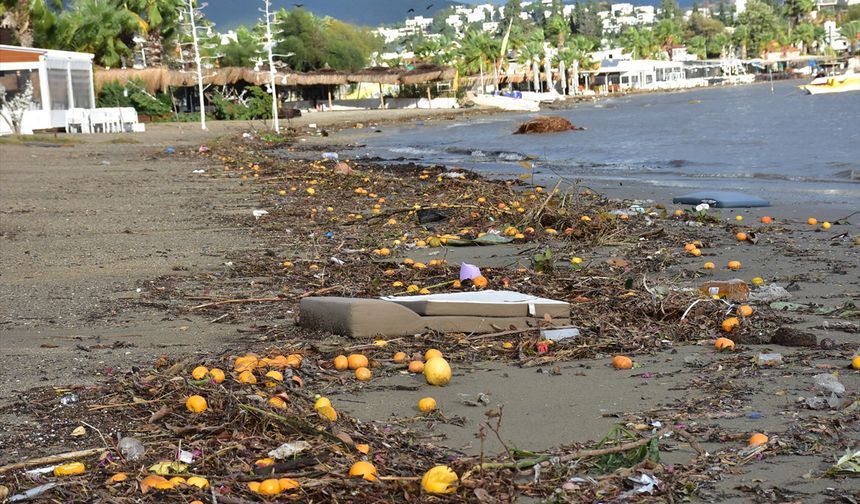 Bodrum'da yağmur suyuyla denize sürüklenen atıklar kıyıya vurdu