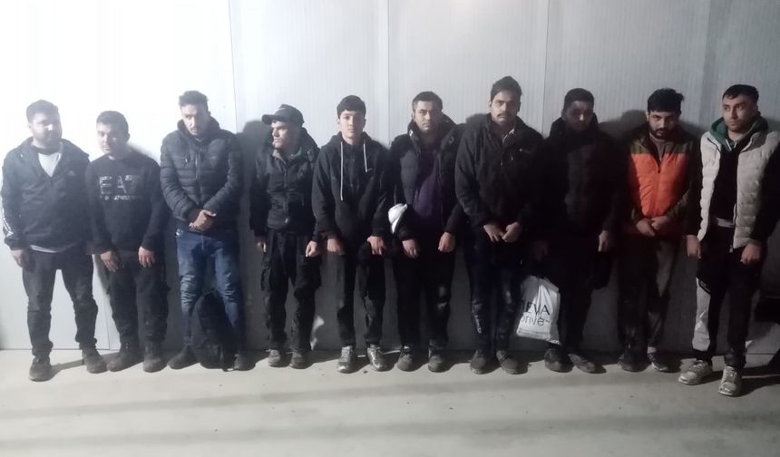 Edirne'de 20 düzensiz göçmen yakalandı