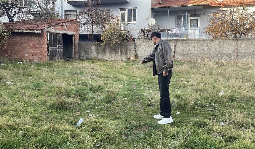 Eskişehir'de boş arazide şiddete uğradıkları değerlendirilen 8 kedi ölüsü bulundu