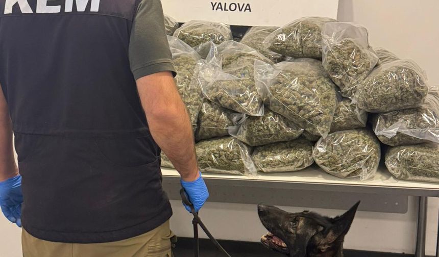 Fransa'dan gemiyle Yalova'ya gelen tırda 37 kilo 742 gram esrar ele geçirildi