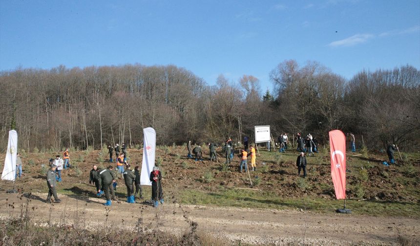 Grand Kartal Otel yangınında hayatını kaybeden 78 kişi anısına hatıra ormanı oluşturuldu