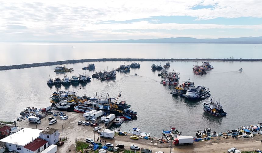 İğneada açıklarında hamsi bolluğu yaşanıyor