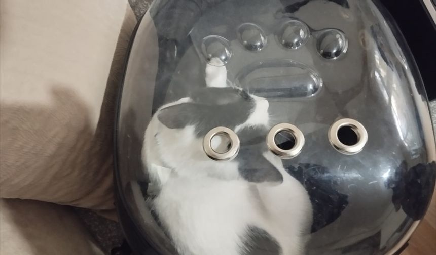 Kayseri'de itfaiye ekipleri havalandırma boşluğuna düşen kediyi kurtardı