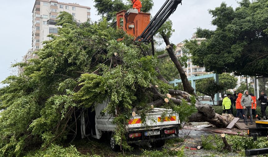 Mersin'de rüzgarın etkisiyle devrilen ağaç seyir halindeki 3 araca zarar verdi