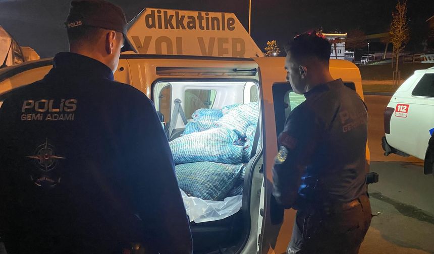 Samsun'da kaçak avlanan 300 kilogram midye ele geçirildi