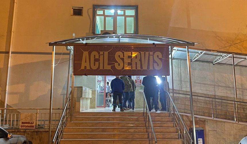 Sinop'ta otomobilin çarptığı kadın öldü