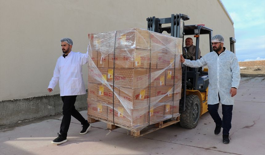 Ata Mesleğini İhracata Taşıdı: Van Balı Dubai Yolunda