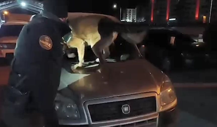 Bitlis'te 6 kilo 100 gram skunk maddesi ele geçirildi