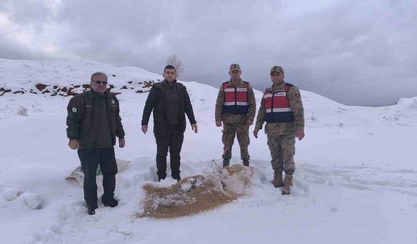 Siirt'te yaban hayvanlarına 750 kilo besi yemi bırakıldı
